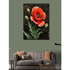 Kanvas Tablo Gelincik Çiçeği 70x100 cm