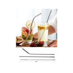 Paslanmaz Çelik Pipet Seti( 2 Adet Çelik Pipet+pipet Temizleme Fırçası)