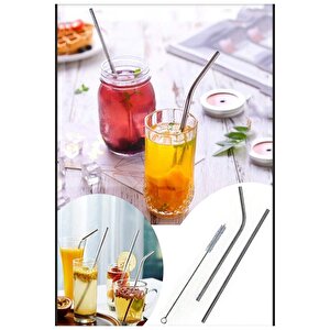Paslanmaz Çelik Pipet Seti( 2 Adet Çelik Pipet+pipet Temizleme Fırçası)