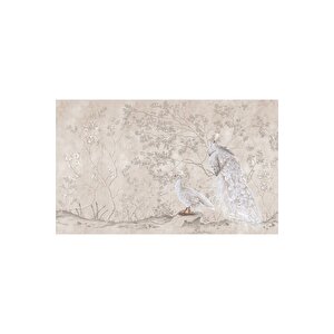 Ps 700 - Beyaz Tavus Kuşu Desenli Poster Duvar Kağıdı 400x260 cm