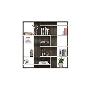 Cosmodh Ki̇taplik Cevi̇z Beyaz Ceviz