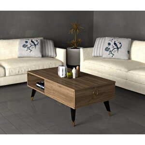 Deluxdh Bi̇r Rafli Orta Sehpa Cevi̇z Ceviz