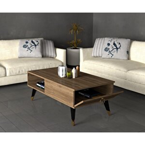 Deluxdh Bi̇r Rafli Orta Sehpa Cevi̇z Ceviz