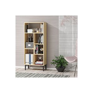 Collegedh Kitaplık Safirmeşe Meşe