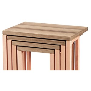 Zigon 16803 C Model Sehpa Kayin Aslan Tekerlek Ayak Mdf Tabla Kutu Sevk El Yapım