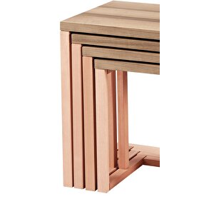 Zigon 16803 C Model Sehpa Kayin Aslan Tekerlek Ayak Mdf Tabla Kutu Sevk El Yapım