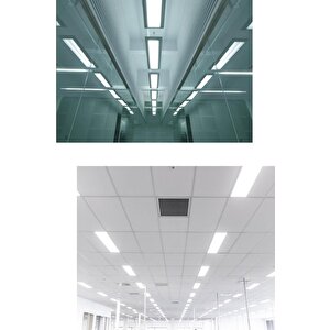 Master 18w/865 T8 Floresan Ampul Beyaz 60 Cm Floresan Lamba