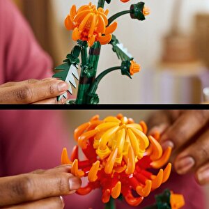 Lego Icons 10368  Krizantem - Yetişkinler Için Dekoratif Kasımpatı Çiçeği Yapım Seti (278 Parça)