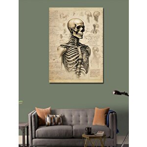 Kanvas Tablo İskelet Çizimi 50x70 cm