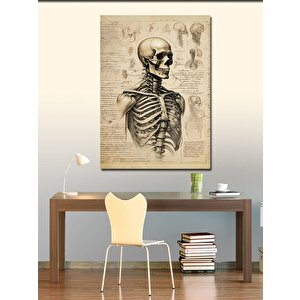 Kanvas Tablo İskelet Çizimi 70x100 cm