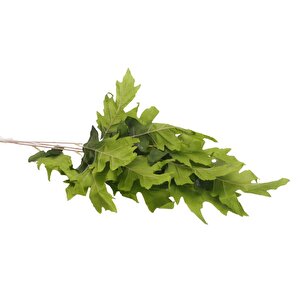 T.concept Zarif Yapay Mercan Yaprağı Yeşil Renk 90 Cm