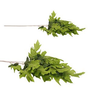 T.concept Zarif Yapay Mercan Yaprağı Yeşil Renk 90 Cm