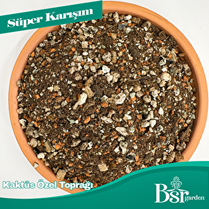 Bsr Garden Kaktüs Özel Toprağı 3 Litre