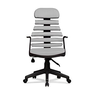Zebra Model Açık Gri