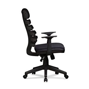 Zebra Model Açık Gri