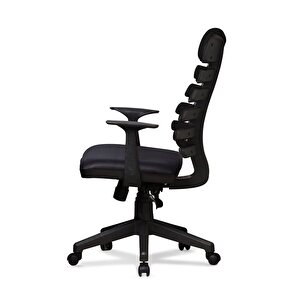 Zebra Model Açık Gri