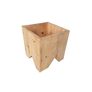 Case Bitki Saksı