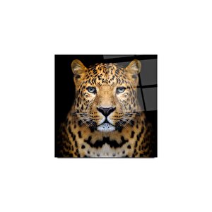 Leopar Cam Tablo | Hediyelik, Dekoratif, Ofis, Mutfak 40x40 cm