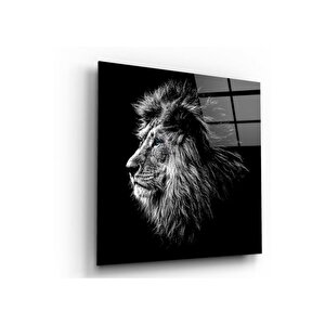 Aslan Cam Tablo | Hediyelik, Dekoratif, Ofis, Mutfak 80x80 cm