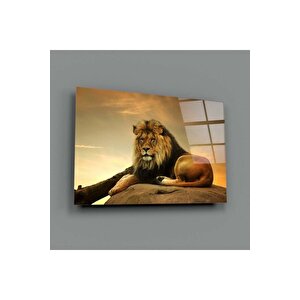 Aslan Cam Tablo No:4027 | Hediyelik, Dekoratif, Ofis, Mutfak 60x90 cm