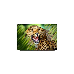 Leopar Cam Tablo | Hediyelik, Dekoratif, Ofis, Mutfak 70x110 cm