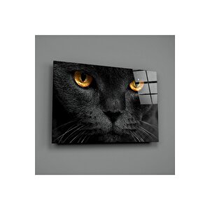 Kedi Cam Tablo | Hediyelik, Dekoratif, Ofis, Mutfak 60x90 cm