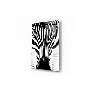 Zebra Cam Tablo No:8047 60x90 cm