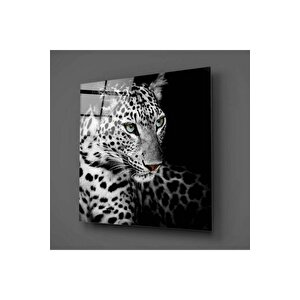 Leopar Cam Tablo No:2004 | Hediyelik, Dekoratif, Ofis, Mutfak 60x40 cm