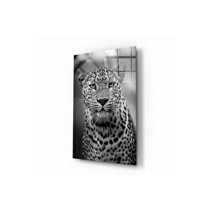 Leopar Cam Tablo | Hediyelik, Dekoratif, Ofis, Mutfak 25x35 cm