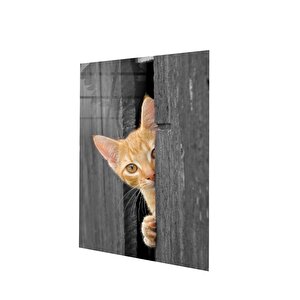 Kapıdan Bakan Kedi Cam Tablo | Hediyelik, Dekoratif, Ofis, Mutfak 60x70 cm