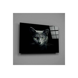 Kedi Cam Tablo | Hediyelik, Dekoratif, Ofis, Mutfak 25x35 cm