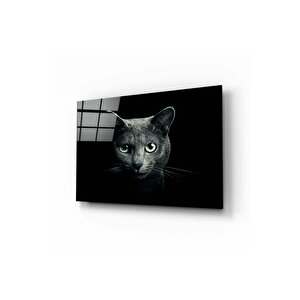 Kedi Cam Tablo | Hediyelik, Dekoratif, Ofis, Mutfak 50x70 cm