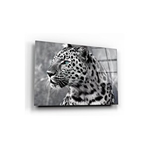 Leopar Cam Tablo | Hediyelik, Dekoratif, Ofis, Mutfak 80x130 cm