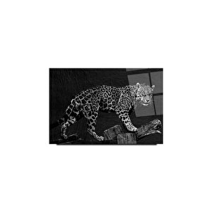 Leopar Cam Tablo | Hediyelik, Dekoratif, Ofis, Mutfak 60x90 cm