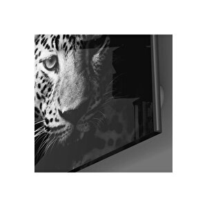 Leopar Cam Tablo No:1046 | Hediyelik, Dekoratif, Ofis, Mutfak 80x80 cm