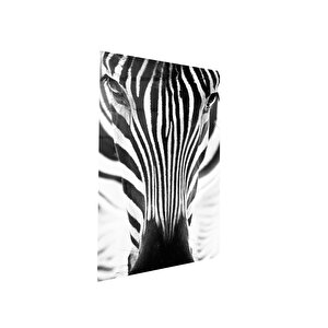 Yakın Görünüm Zebra Cam Tablo | Hediyelik, Dekoratif, Ofis, Mutfak 60x90 cm