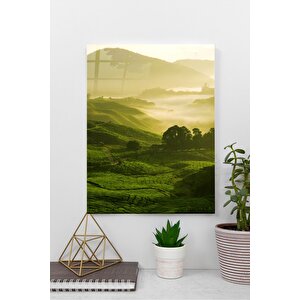 Çin Çay Tarlaları Cam Tablo | Hediyelik, Dekoratif, Ofis, Mutfak 60x130 cm