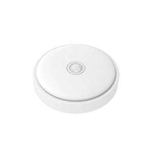Kristal Mini Tavan Lambası