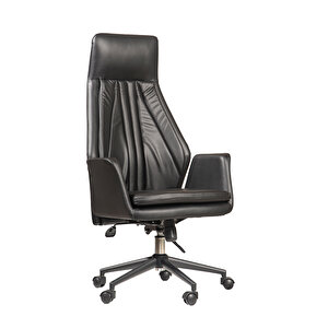 Black Yönetici Koltuğu Fsm1205