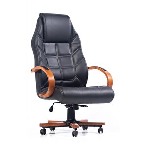 Porsche Yönetici Koltuğu Fsm1231