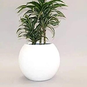 Fiber Saksı  Beyaz Küre Yuvarlak Top Vazo Dekoratif Saksı Fiberglas 25*25cm