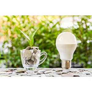 Philips 8w (60w) Led Ampul Sarı 2700k (10 Adet) Tasarruflu Lamba