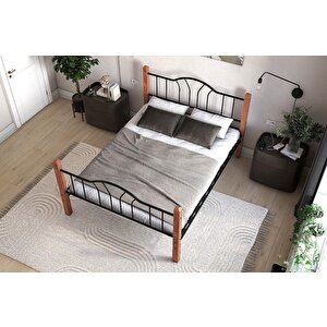 Pasifik Metal Karyola 100x200 Arm074