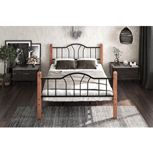 Pasifik Metal Karyola 100x200 Arm074