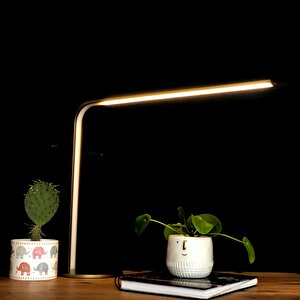 Voxlamp Muson Led Masa Lambası 50*45cm 9 Watt