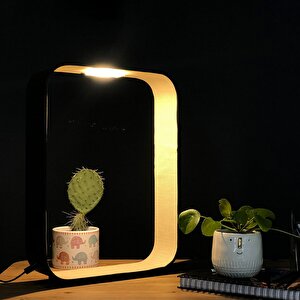 Voxlamp Benedetto Led Masa Lambası 46*34cm 5 Watt