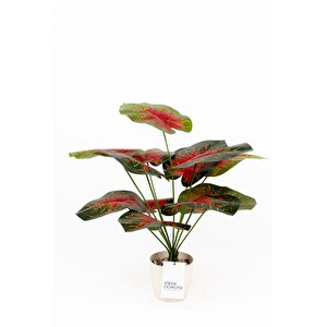 Taş Detaylı Beyaz Saksıda 12 Yapraklı 50 Cm Yapay Salon Çiçeği