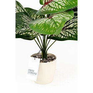 Taş Detaylı Beyaz Saksıda 12 Yapraklı 50 Cm Yapay Salon Çiçeği