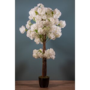 120 Cm Lüks Yapay Bahardali Ağaci Beyaz