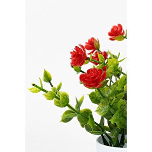 Beyaz Mini Saksıda Yapay Çiçek